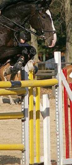 skoki przez przeszkody