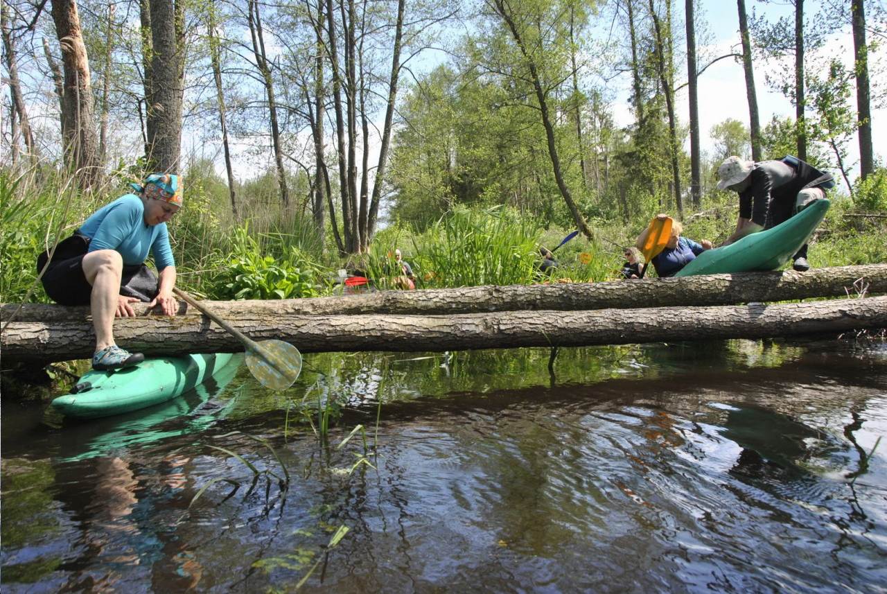 Wypożyczalnia Kajaków "ŻUCZEK"