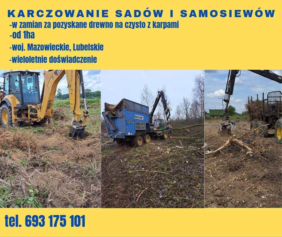 usuwanie samosiewów