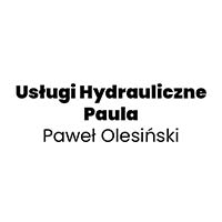 Usługi Hydrauliczne Paula Paweł Olesiński - Hydraulicy
