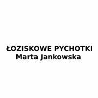 Łoziskowe Pychotki Marta Jankowska - Produkcja wyrobów cukierniczych