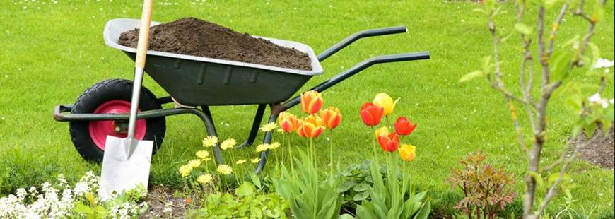 Mikołaj Grela Pielęgnacja Zieleni Zielony Kąt