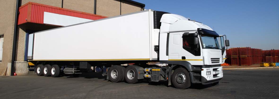 Froch-Trans Michał Froch