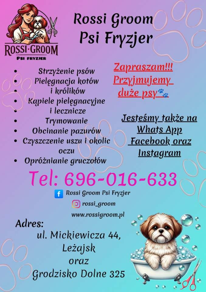 oferta, Edyta Pytel Rossi Groom Psi Fryzjer, Leżajsk