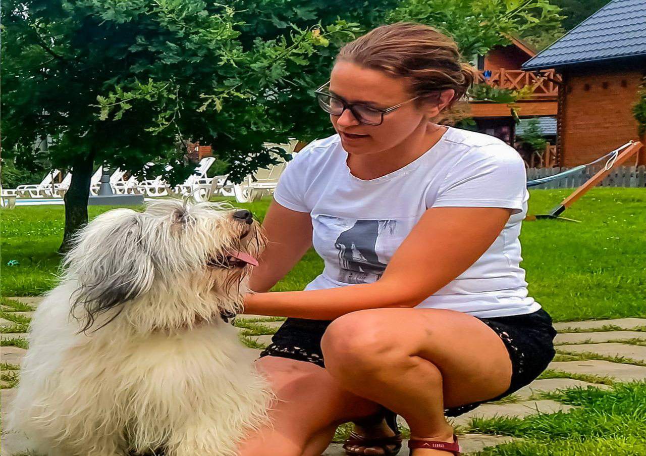 polski owczarek nizinny