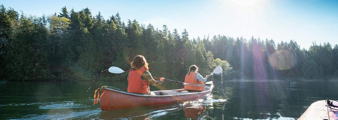 Maciej Ziaja - Przystań Amazonka