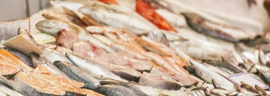 Sklep Rybny Andrzej Jeliński