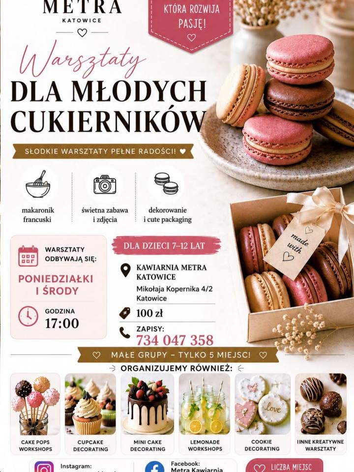 warsztaty, Liubov Herasymenko Metra, Katowice