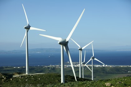 monitoring dla parków wiatrowych