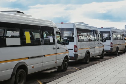 Busy na wynajem