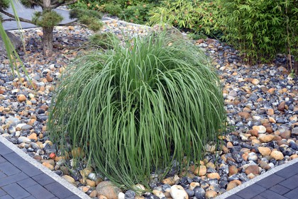 kruszywa ozdobne do ogrodów