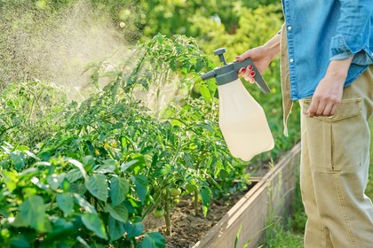 środki ochrony roślin