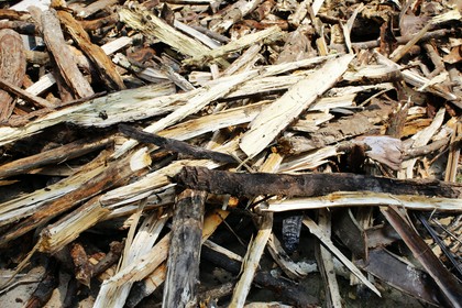 Tarcica sucha