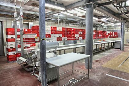 zakład przetwórstwa mięsnego Mars