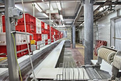 zakład przetwórstwa mięsnego Mars