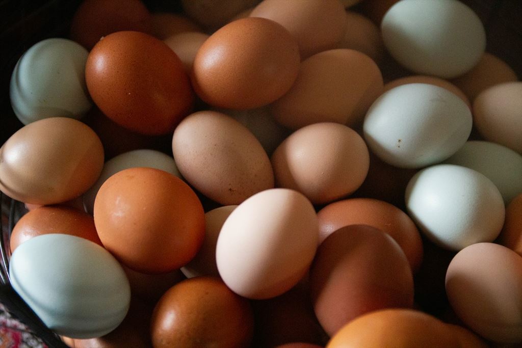 świeże jajka