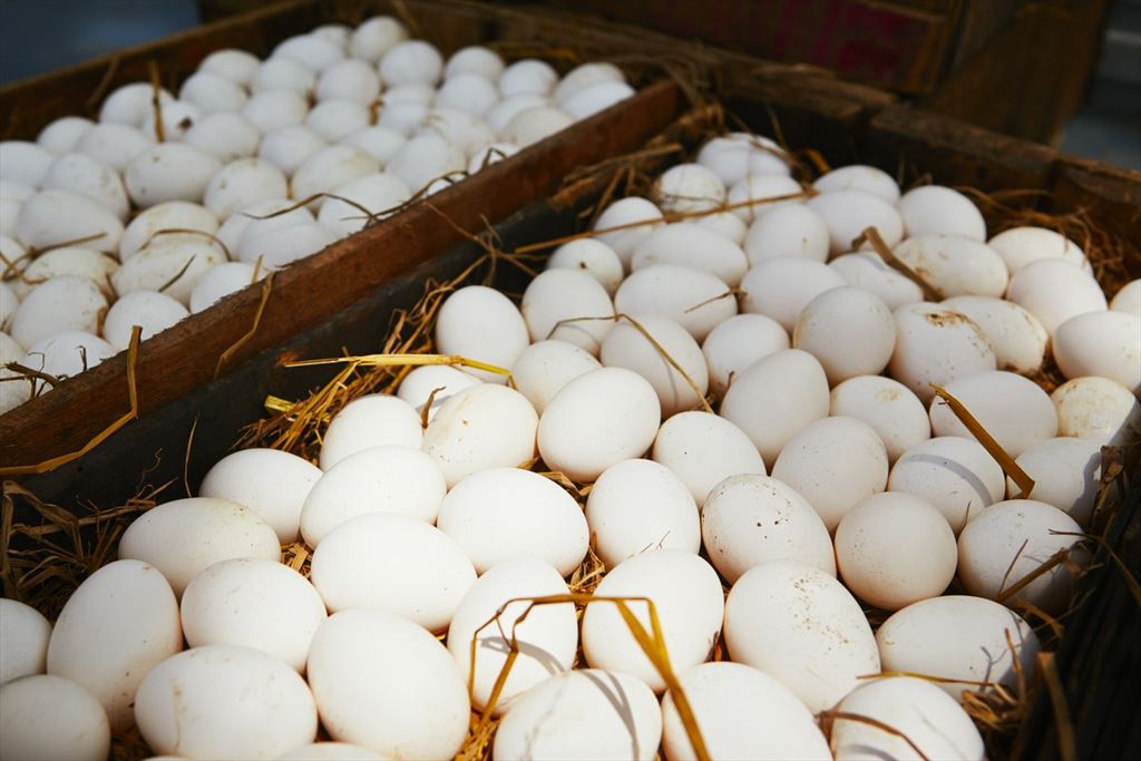 jajka z fermy