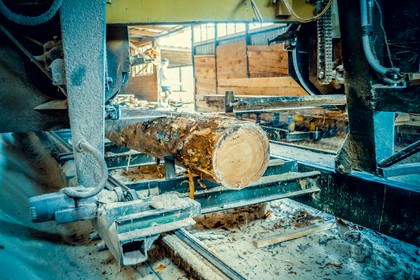 Przerób drewna w Tartaku