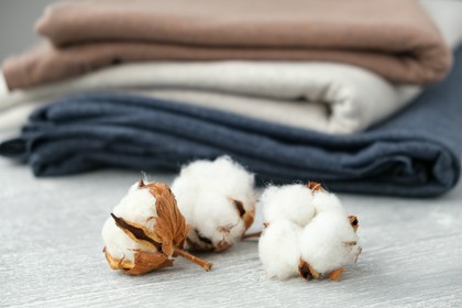 dzianiny bawełniane