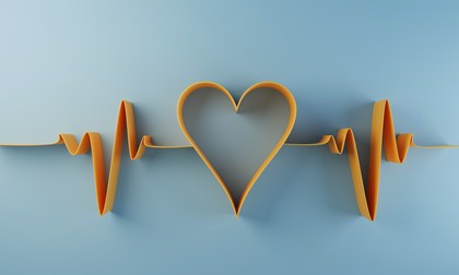 echo serca zwierzęcia