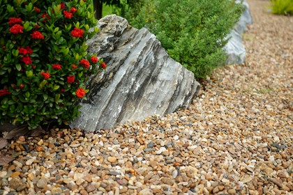 Kamień ozdobny do ogrodu