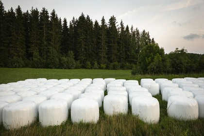 folia do sianokiszonki