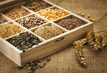 sprzedaż materiału siewnego