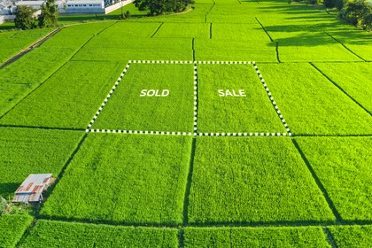 podziały nieruchomości