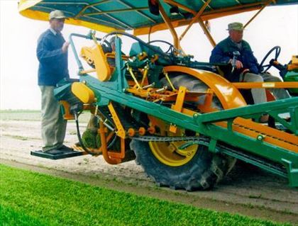 trawa odcinana od gruntu