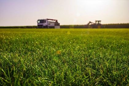 układanie trawników rolowanych