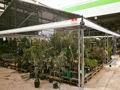 lekkie hale namiotowe