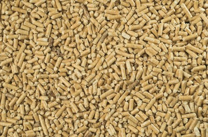 Pellet drzewny