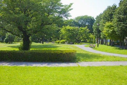 Zakładanie parków