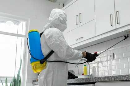 Profesjonalne Usługi Dezynsekcji