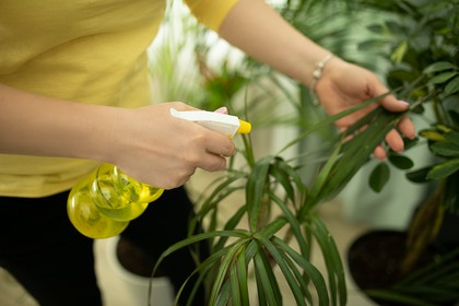 Środki Ochrony Roślin